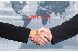 庄浪债务清欠服务