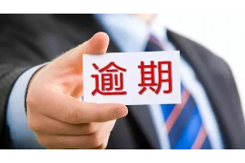 庄浪融资清欠服务